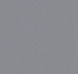 Сканди Дзен Сканди