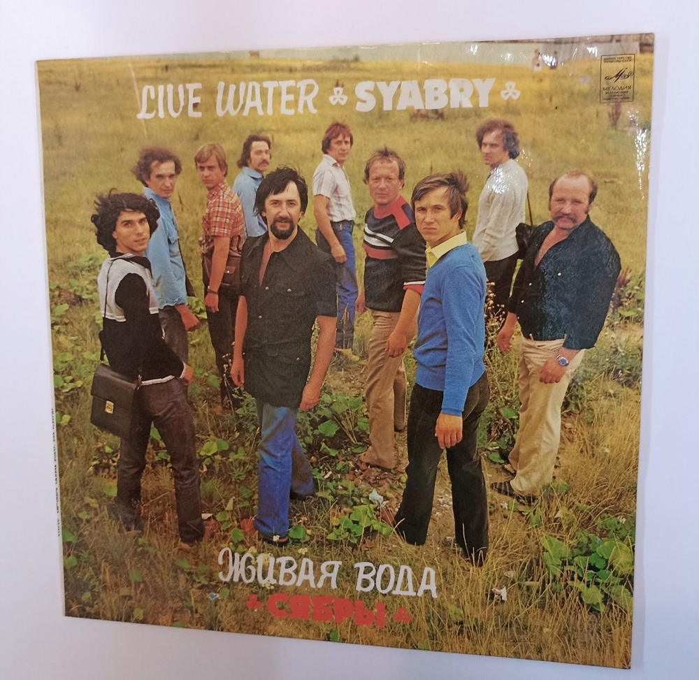 Винтажная виниловая пластинка LP Сябры Syabry Живая Вода Live Water (СССР 1982)