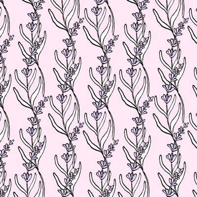 Лаванда в розовом цвете