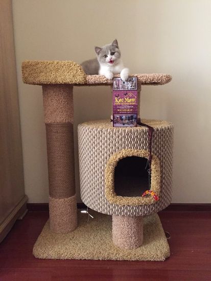 Домик когтеточка для кошки Д-6