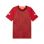 Мужская футболка PUMA individualFINAL Jersey