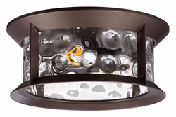 Накладной светильник Odeon Light 4961/2C