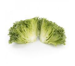 ЛАЛИК семена салата (Rijk Zwaan | Alexagro)