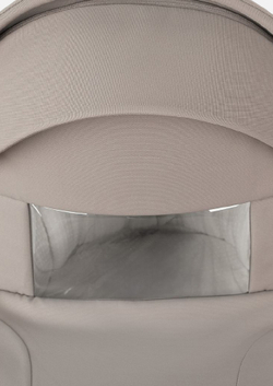 Pituso Коляска 2 в 1 Teffy Hazel/Graphite