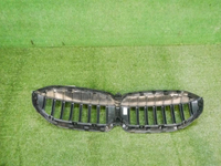 Решетка радиатора BMW 3er G20 (2018-2022)