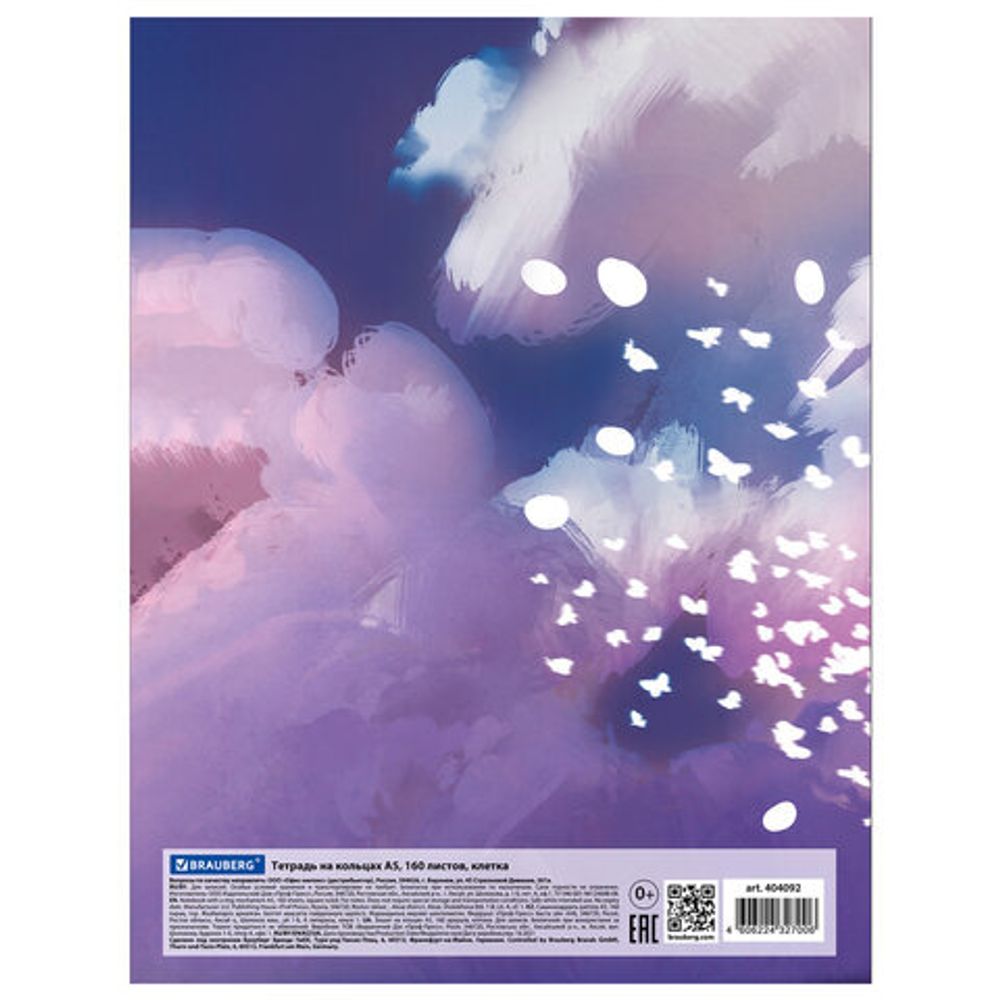 Тетрадь на кольцах А5 165х215 мм, 160 л., твердый картон, клетка, BRAUBERG, "Мечты", 404092
