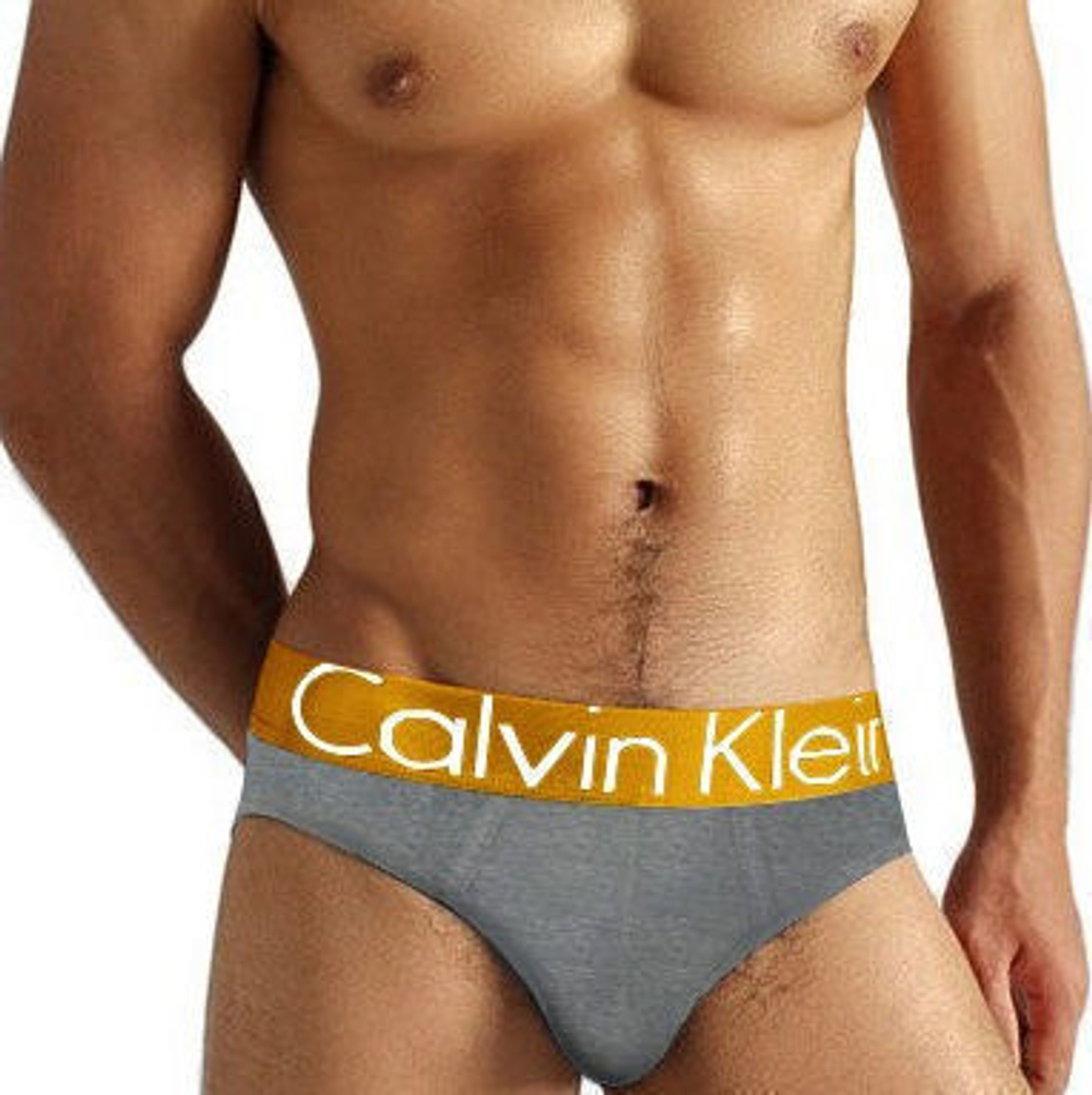 Мужские трусы брифы Calvin Klein Brief Steel Golden Grey