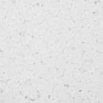 Японский бисер TOHO Round 11/0 (№1F), прозрачный матовый