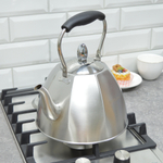 Чайник 3,5л нерж НМ 55206