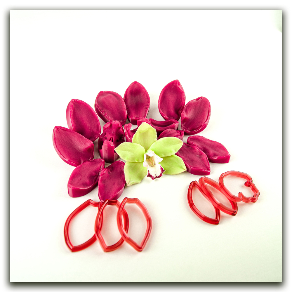 Орхидея цимбидиум