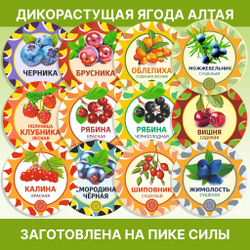 Березовые почки.