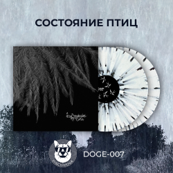 Состояние Птиц - 2xLP
