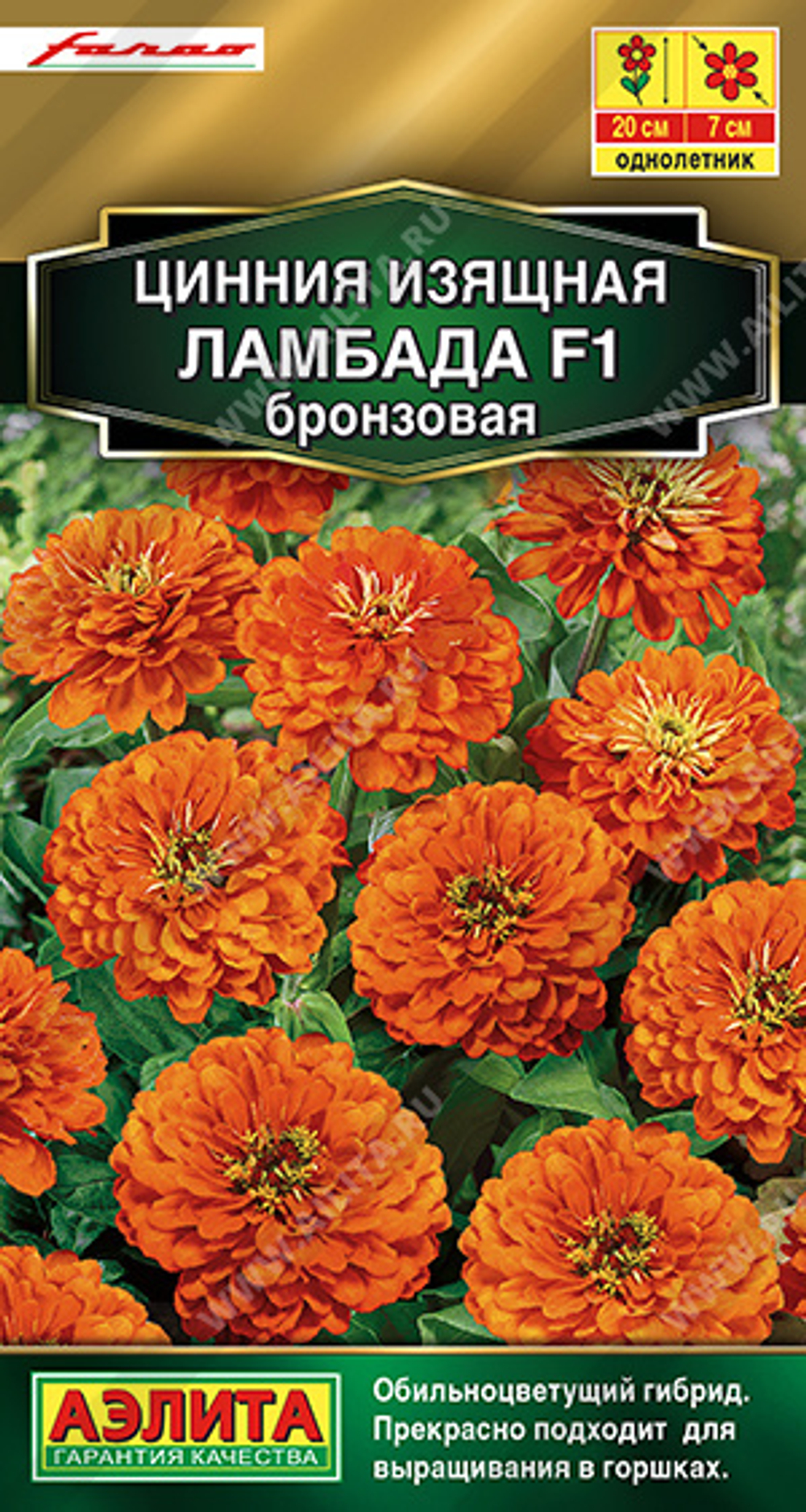 Циния Ламбада бронзовая 12шт Аэлита