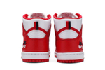 Кроссовки Nike Dunk Sb Future Court Red