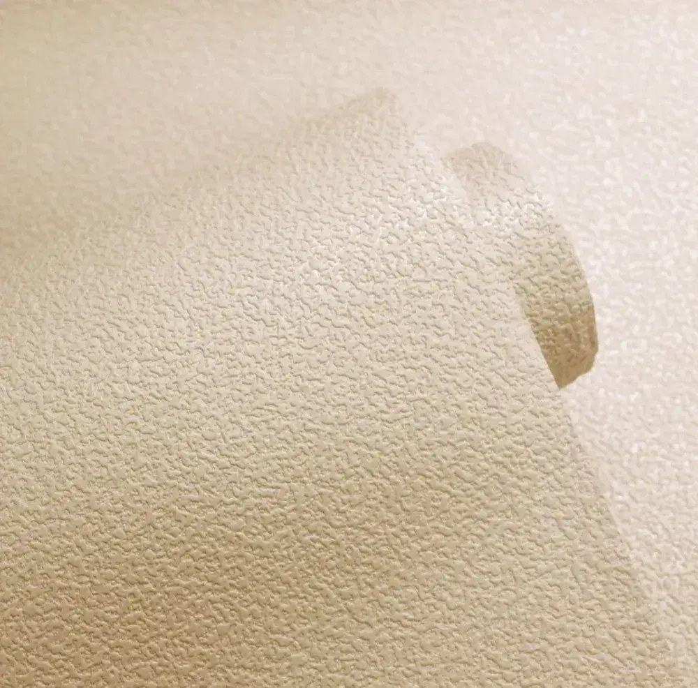 Обои винил на флизелине Белвинил Континенты фон 0429-61 1.06*10м