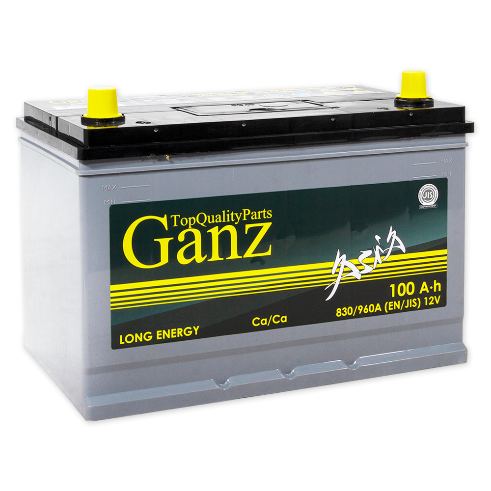 Аккумулятор GANZ ASIA 100 А/ч прямой L+ 304x173x220 D31 EN 830 А