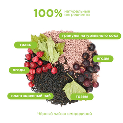 Набор авторского чая Tasteabrew "ИММУНИТЕТ" (31 порция чая + система заваривания в подарок)