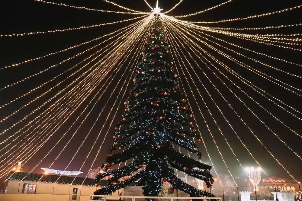 Уличная елка ствольная "Таежная" (пвх) от 11 до 21 м