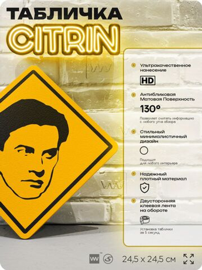 Табличка декоративная "Владимир Маяковский" на дверь и стену, прикольная штука в подарок, декоративный знак, 24,5х24,5 см, пластиковая, Айдентика Технолоджи