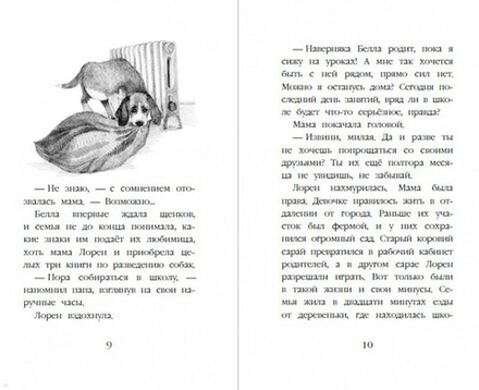 Холли Вебб: Щенок Люси, или Переполох на каникулах