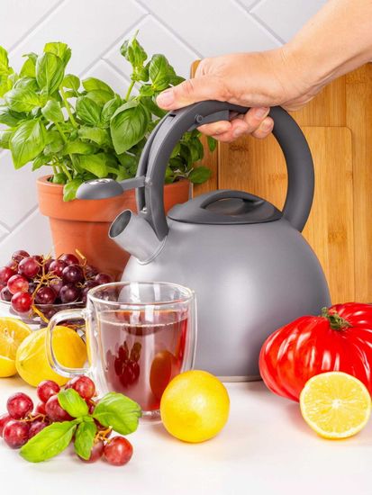 Чайник 2,7 л. из нержавеющей стали со свистком Ofenbach NB 100321