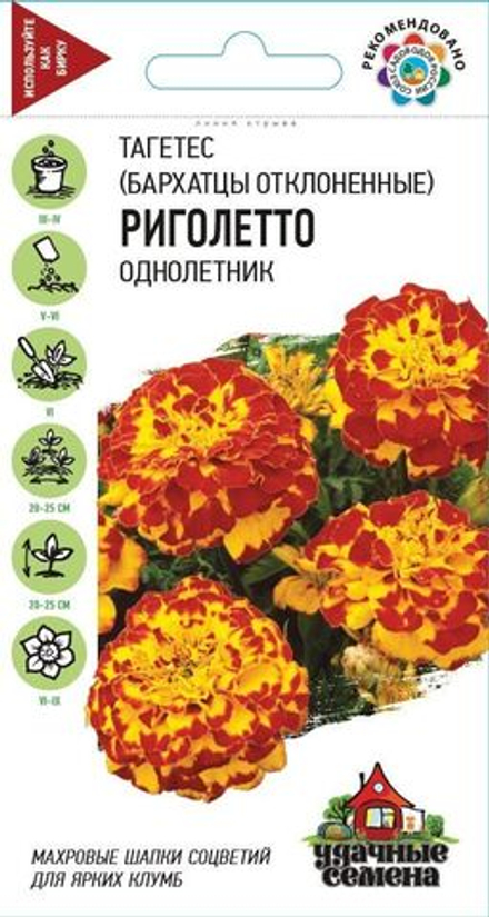 Бархатцы Риголетто