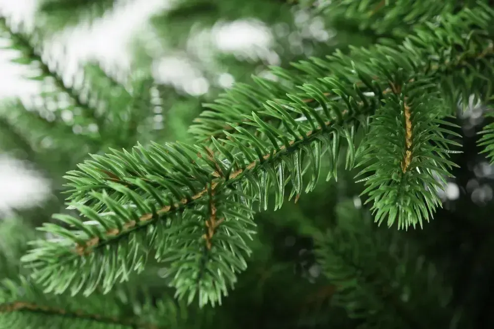 Ель искусственная «Вега» (Литая хвоя) 230 см / 2,3 м