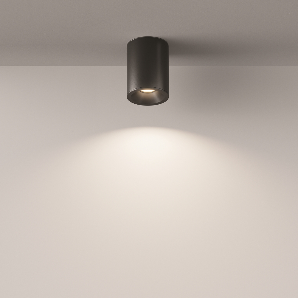 Накладной светильник Maytoni Alfa C029CL-01B