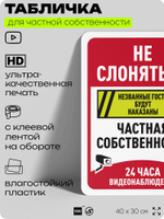 Табличка для частной территории "Не слоняться, частная собственность, видеонаблюдение 24 часа", на дом, для участка, предупреждающая, 40х30 см, Silver Plane x Айдентика Технолоджи