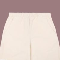  Брюки мужские Dickies Chase City Pant артикул:DK0A4YSAF901 - купить в магазине Дайс