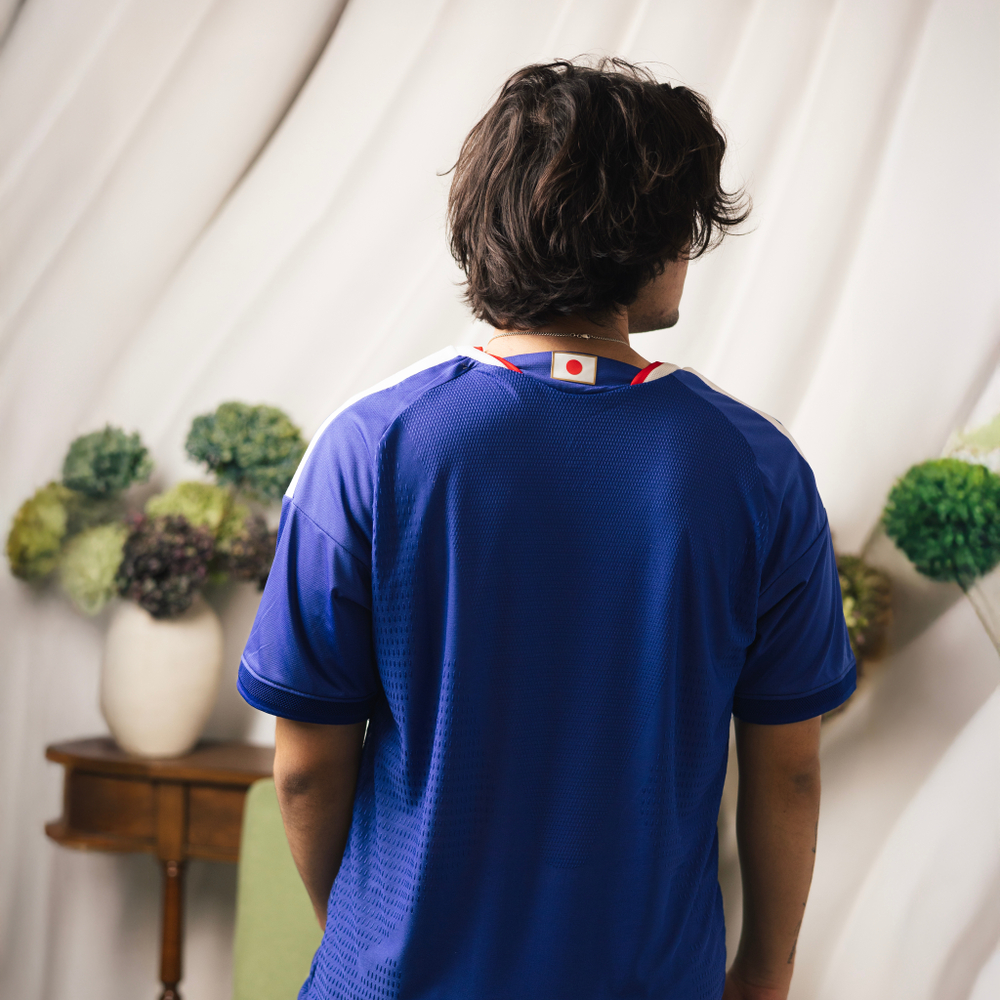 Япония / Домашняя / Игровая