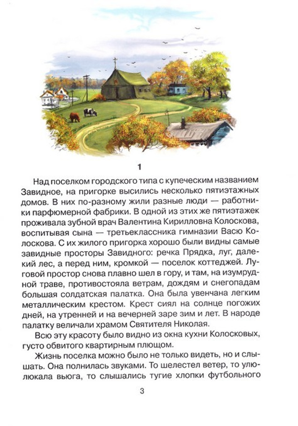 Денежный мешок. Татьяна Дашкевич