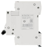 Автоматический выключатель  Systeme Electric C9F34425