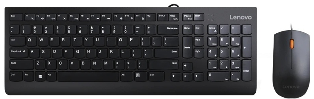 Клавиатура Lenovo 300 USB Combo GX30M39635 черный