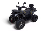 Квадроцикл бензиновый MOTAX GRIZLIK Y300