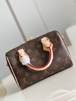 Louis Vuitton Speedy 20