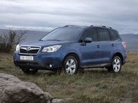 Forester IV