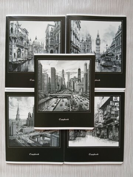 Тетрадь 48 листа А5+.  "Города", общая, клетка. Формат А5+ (163*203 мм). Арт.120030. С полями. Комплект 5 шт.