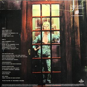 David Bowie / The Rise And Fall Of Ziggy Stardust And The Spiders From Mars (LP)