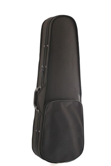 Скрипка 4/4 Fabio SF-3900 BK