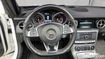 Mercedes-Benz SLC-Class R172 SLC250 (09.2019)