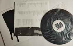 Винтажная виниловая пластинка LP Paul McCartney Memory Almost Full (USA 2007)