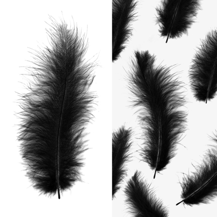 Перья чёрный 30 шт