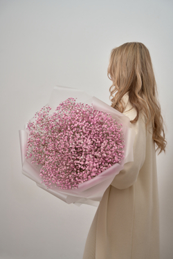 Розовое воздушное облако из гипсофилы .