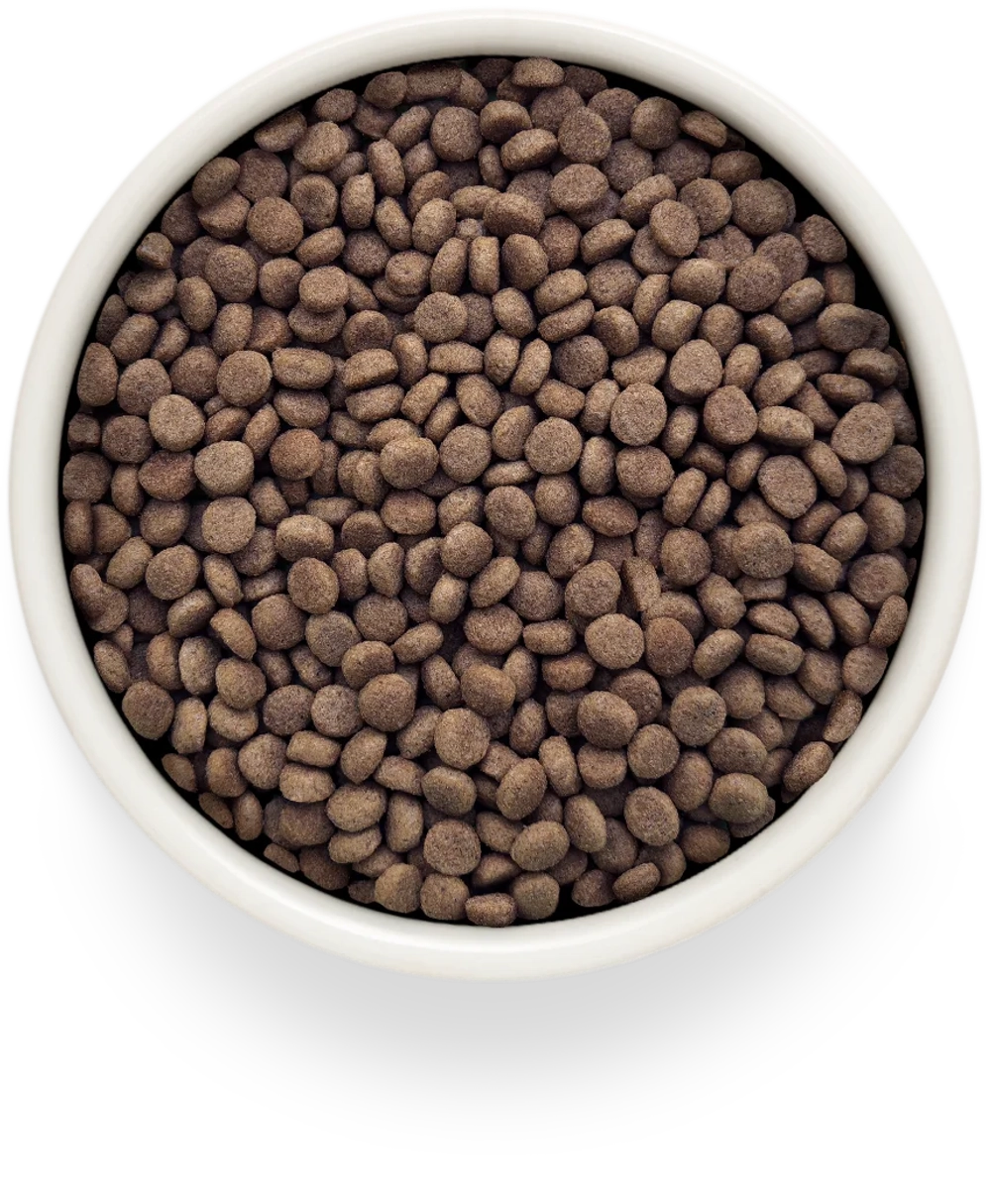 Grandorf HEPATIC, Gluten & Grain Free, Veterinary Diet (Turkey)