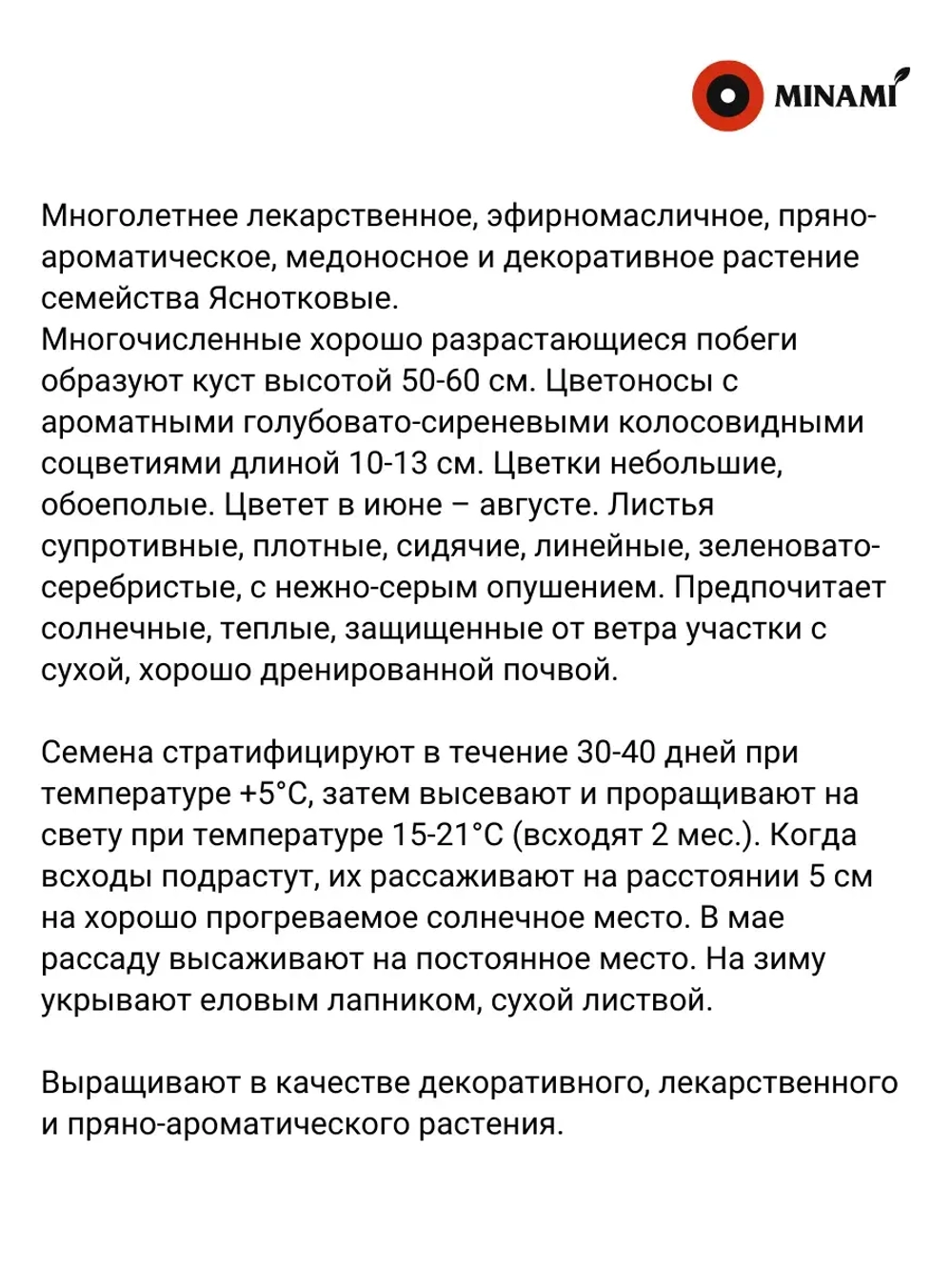 Лаванда Южанка многолетняя