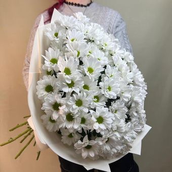 Белые хризантемы