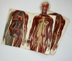 Платен М. Новый способ лечения. Лечение целебными силами природы. — Берлин: Изд. Просвещение, 1901