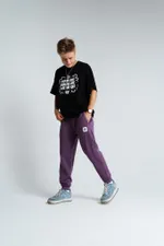 Брюки PPZ Фиолетовые