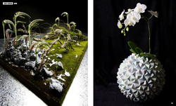 International Floral Art 2018/2019